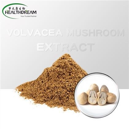 Extrait de champignons Volvacea