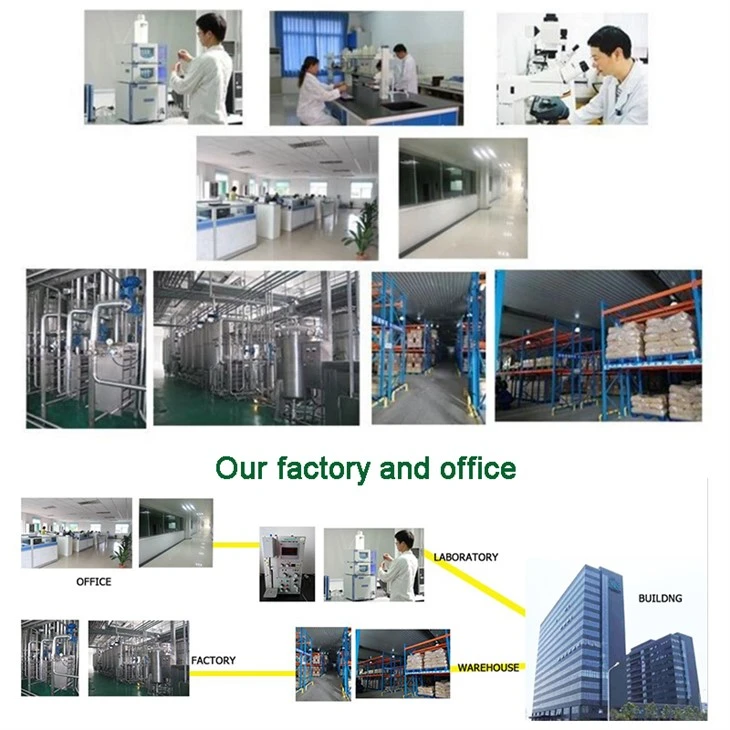 Bifidobacterium Animalis factory