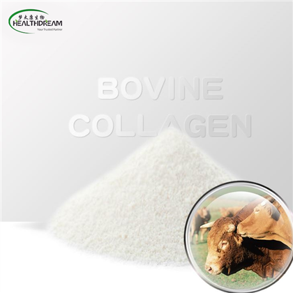 Collagène bovin