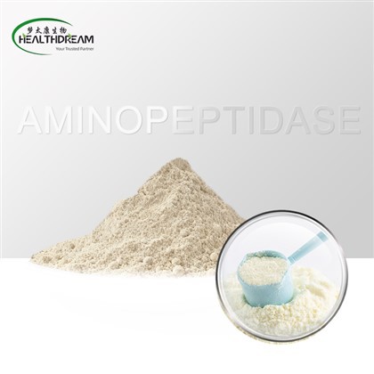Aminopeptidase