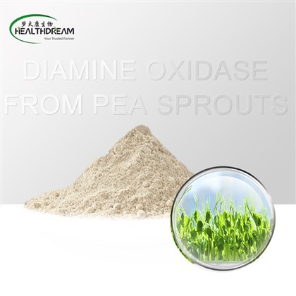 Diamine oxydase des germes de pois