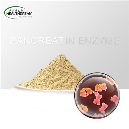 Enzyme pancréatine